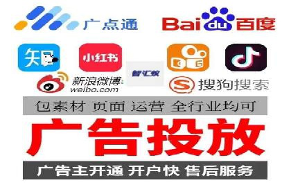 SEM服务优势案例分享